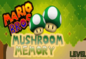 Mario Mushroom Memory Mario Mushroom Memory